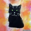 Bild schwarze Katze