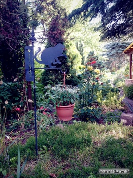 Garten im Juni