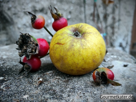 Apfel mit Hagebutte