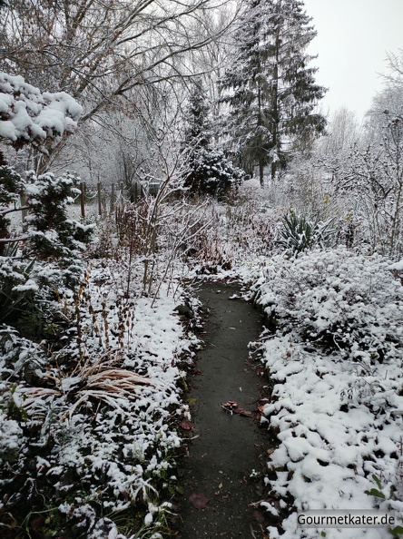 Winter-im-Garten.jpg