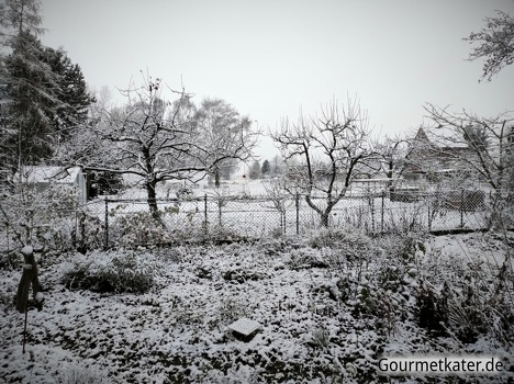 Winter im Garten 2