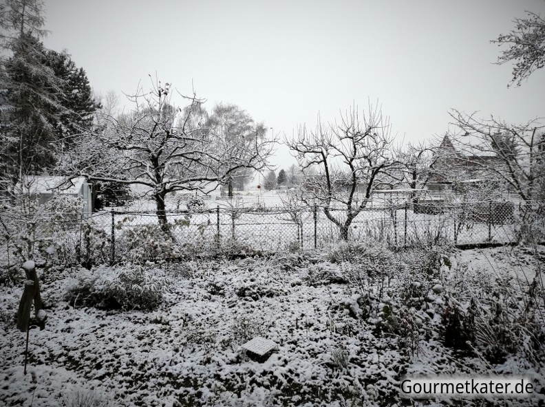 Winter-im-Garten2.jpg