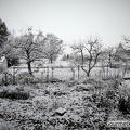 Winter im Garten 2