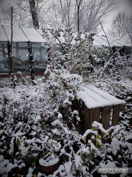 Winter-im-Garten3.jpg