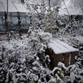 Winter im Garten 3