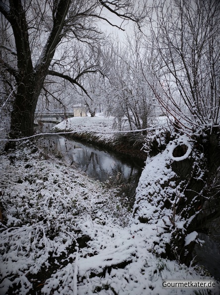 Winter-am-Fluss.jpg