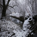 Winter am Fluss