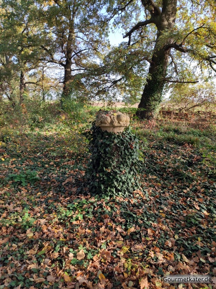 Steinschale.jpg