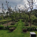 Obstgarten