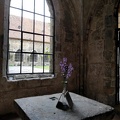 Blüten im Kloster