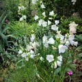 Blumenbeet