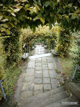 Grüne Treppe