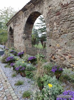 Klostermauer mit Blumen